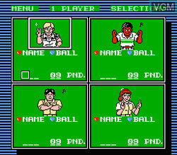 Championship Bowling - NES