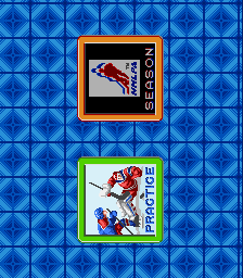 Pro Sport Hockey - SNES