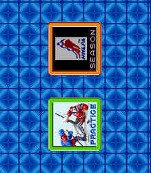 Pro Sport Hockey - SNES