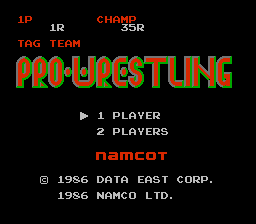 Tag Team Wrestling - NES