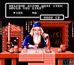 Gremlins 2: The New Batch - NES