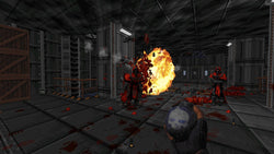 Ion Fury - Switch