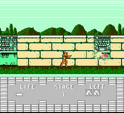 Altered Beast - NES