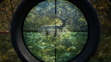 theHunter: Call of the Wild - PS4