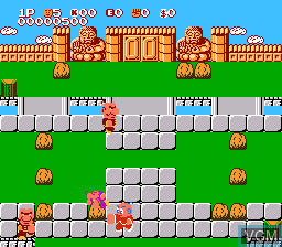 Kung-Fu Heroes - NES