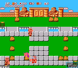 Kung-Fu Heroes - NES