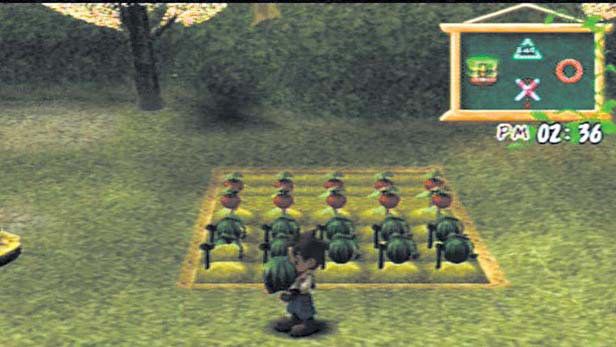 Harvest Moon: A Wonderful Life (Special Edition) - PS3