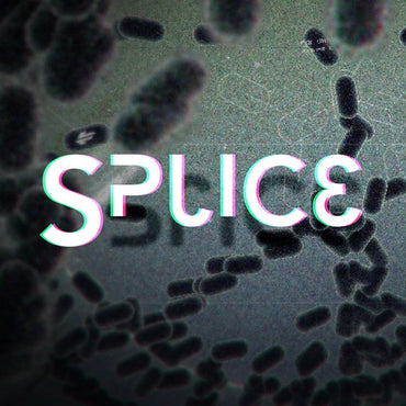Splice - PS3