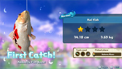 Fishing Star World Tour - Switch