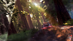 V-Rally 4 - Switch