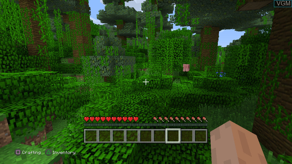 Minecraft - PS3