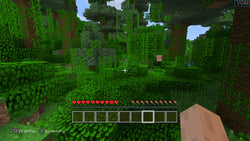 Minecraft - PS3