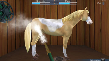 My Riding Stables: Life with Horses - PS4