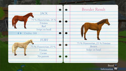 My Riding Stables: Life with Horses - PS4