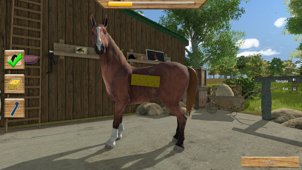 My Little Riding Champion - Switch