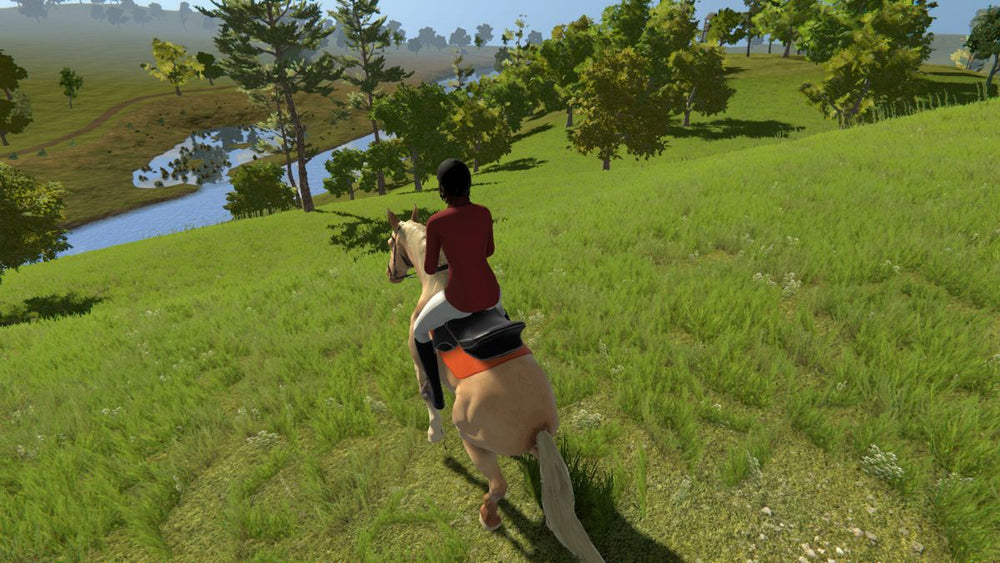 My Little Riding Champion - Switch