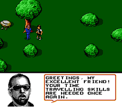 Bill & Ted's Excellent Video Game Adventure - NES