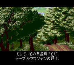 Mystery Dungeon: Shiren the Wanderer - SNES