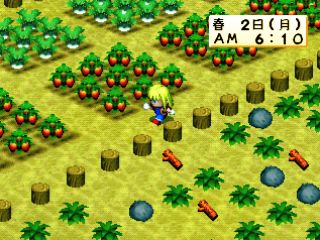 BokujÅ Monogatari: Harvest Moon for Girl - PS3
