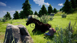 Windstorm: Ari's Arrival - PS4