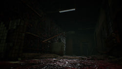 Caretaker - PS5