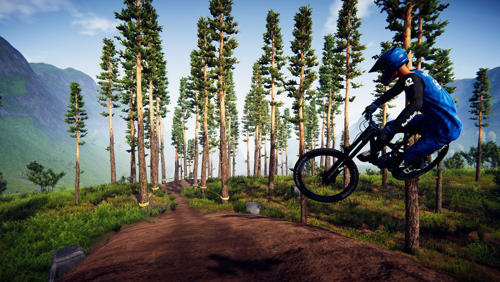 Descenders - Switch