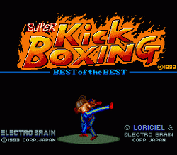 Best of the Best Championship Karate - SNES