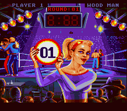Best of the Best Championship Karate - SNES