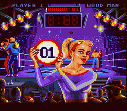 Best of the Best Championship Karate - SNES