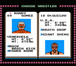 Tecmo World Wrestling - NES
