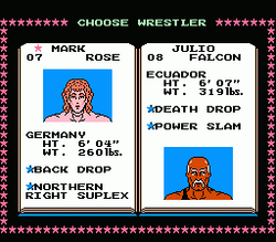 Tecmo World Wrestling - NES