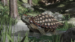 Carnivores: Dinosaur Hunter HD - PS3