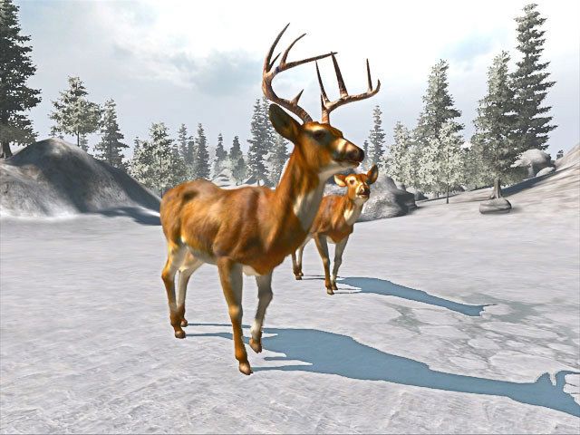 Cabela's Trophy Bucks - Wii Original