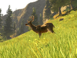 Cabela's Trophy Bucks - Wii Original