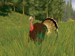 Cabela's Trophy Bucks - Wii Original