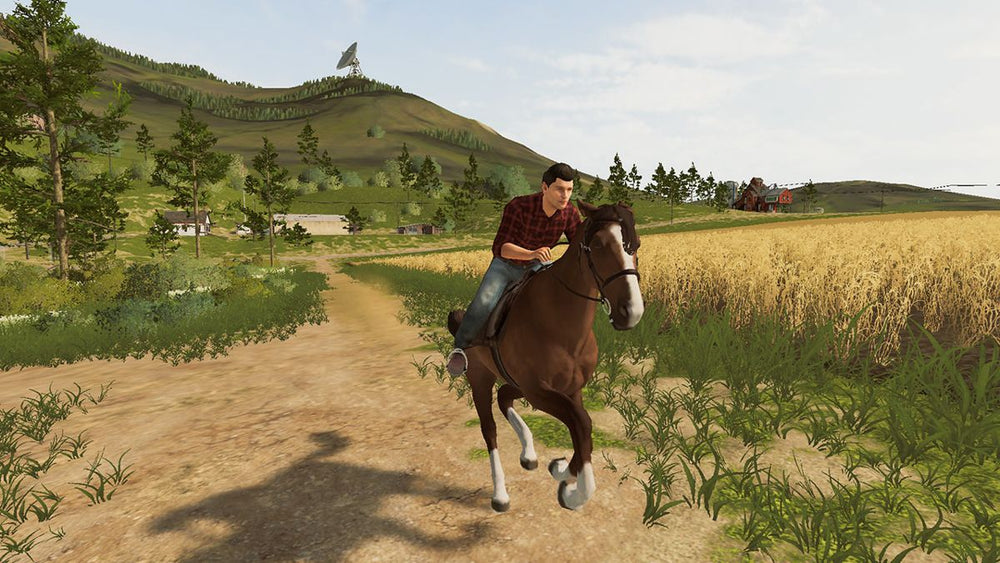 Farming Simulator 20 - Switch
