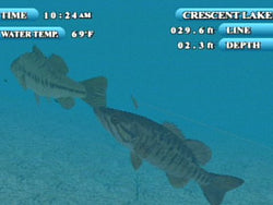 Lake Masters EX - PS3