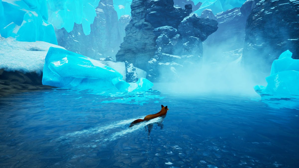 Spirit of the North - Switch
