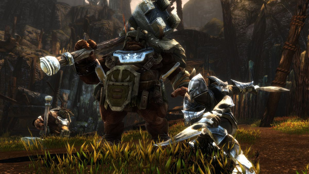 Kingdoms of Amalur: Re-Reckoning - Switch