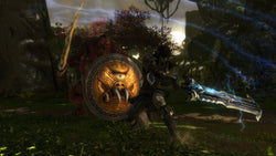 Kingdoms of Amalur: Re-Reckoning - Switch