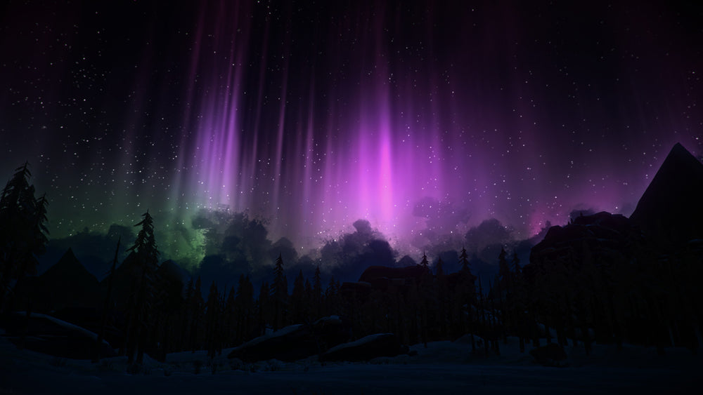 The Long Dark - PS4