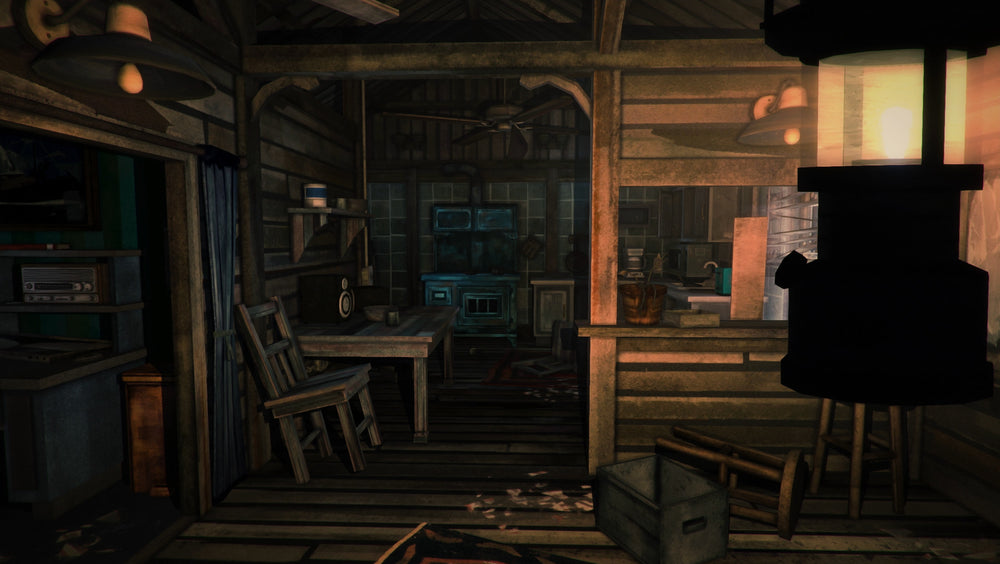 The Long Dark - PS4