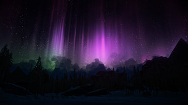 The Long Dark - PS4