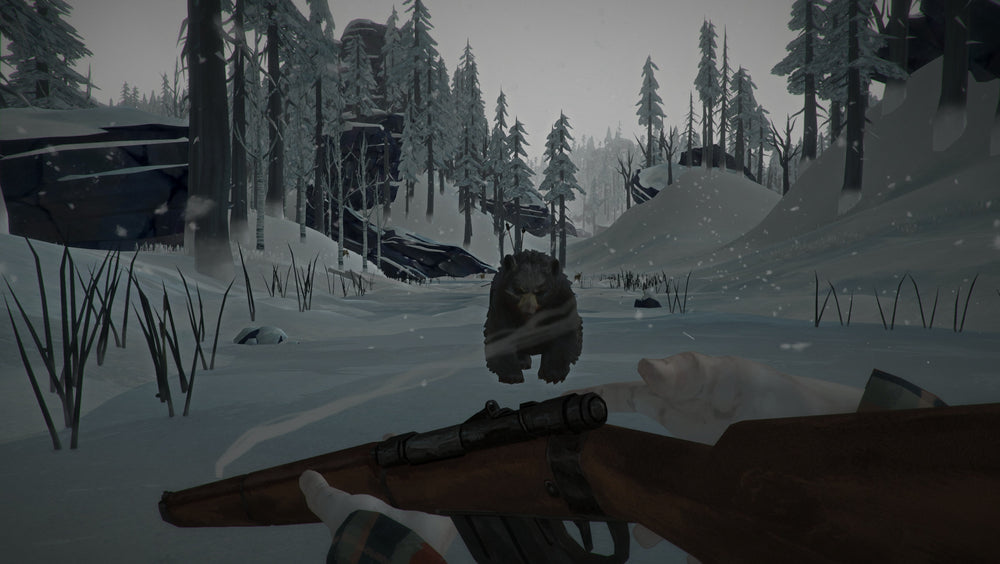 The Long Dark - PS4