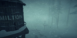 The Long Dark - PS4