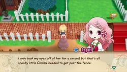Story of Seasons: Friends of Mineral Town - Switch
