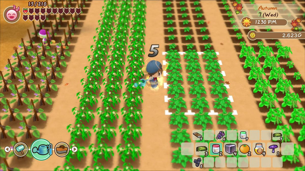 Story of Seasons: Friends of Mineral Town - Switch