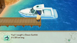 Story of Seasons: Friends of Mineral Town - Switch