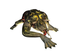 Hellboy: The Science of Evil - PS3