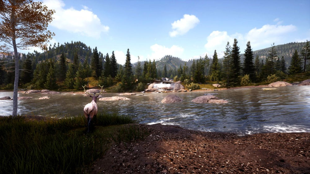 Hunting Simulator 2 - PS5